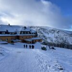 konsylium-chirurgiczne-chicamp